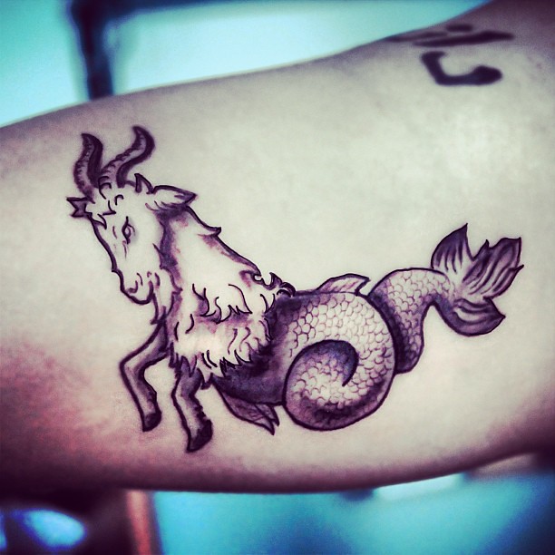 Crazy Like A Sea-Goat #Tattoo #Illustration #Ilustracion #… | Flickr 612_x_612_jpg