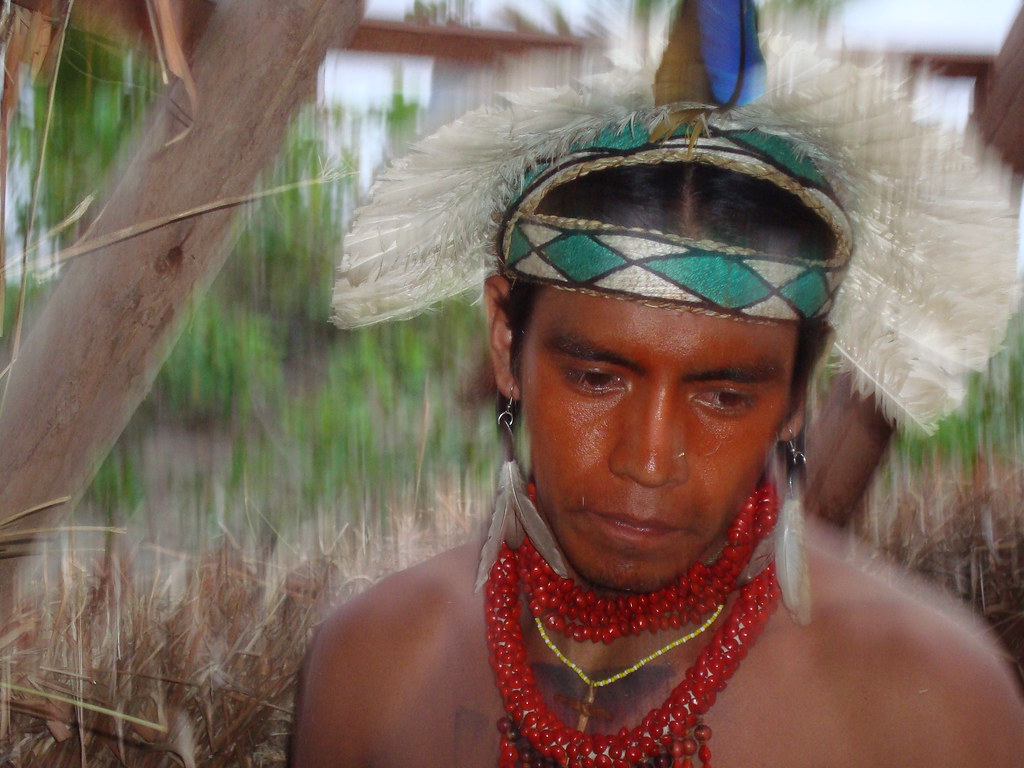 Vergessenes volk am rio paraná on amazon.com. Indio Guarani Foto Vera Moll Indio Guarani Construindo Oc Vera Moll Flickr