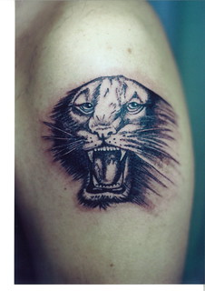 Tigre - Americo Tattoo L'aquila | Tigre Su Braccio - Americo… | Flickr 320_x_226_jpg