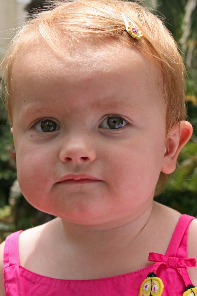 The function of the bone marrow is to make new blood . Audrey 3.jpg | jmartin64 | Flickr