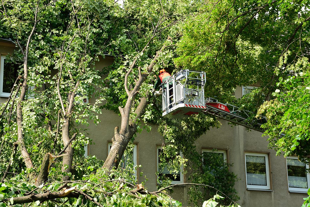 Juni 2014 über 30.000 bäume verloren und weitere 24.000 bäume benötigen . Unwetter Ã¼ber Gelsenkirchen am 9.6.2014 | Sturmtief "Ela