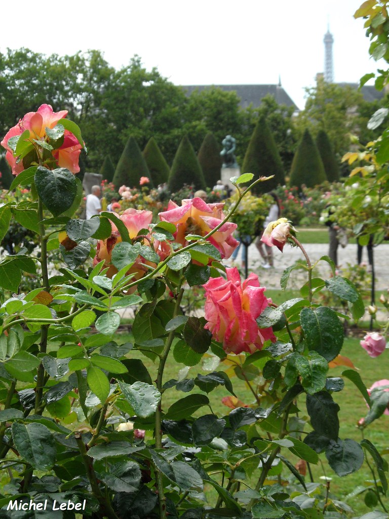 3 Le Jardin De L Hotel De Biron Musee Rodin De Paris Flickr