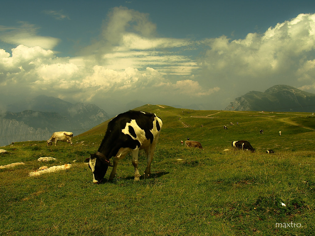 Atom Heart Mother A Photo On Flickriver