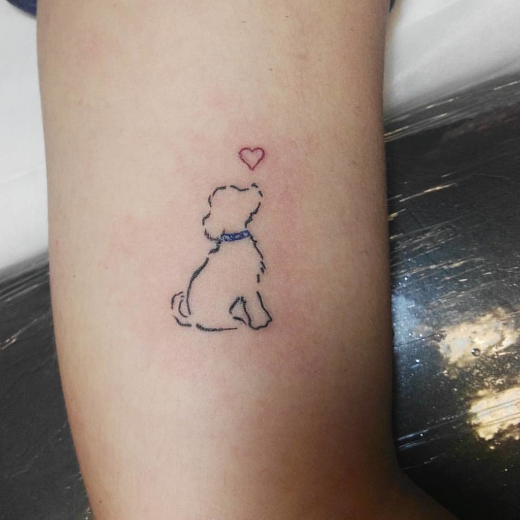 Más Amor Para Nuestra Mascotas...! No Dejes Ningún Sueño S… | Flickr 1024_x_1024_jpg