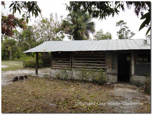 14+ Unique Jonathan Dickinson State Park Cabin Rental / 10 Of The Best Cabins In Florida State Parks - All of the campsites at jonathan .