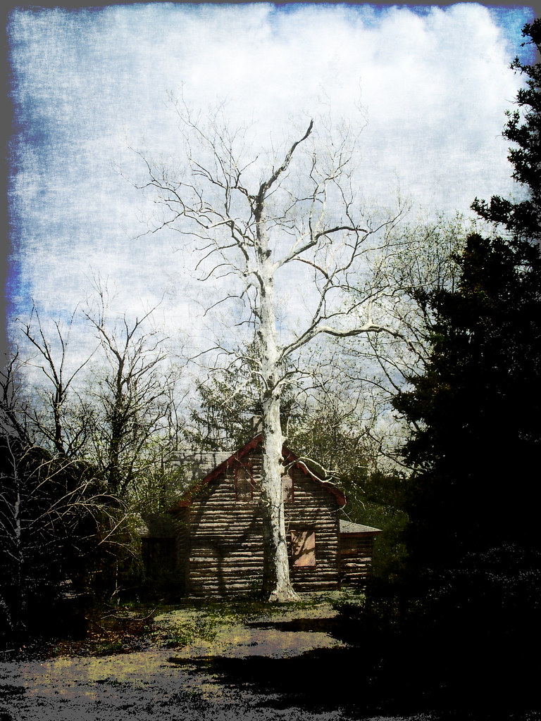$45 per night, $315 per weeksix person cabin: Cabin At Atsion (Pronounced At-sine) | Cabin i