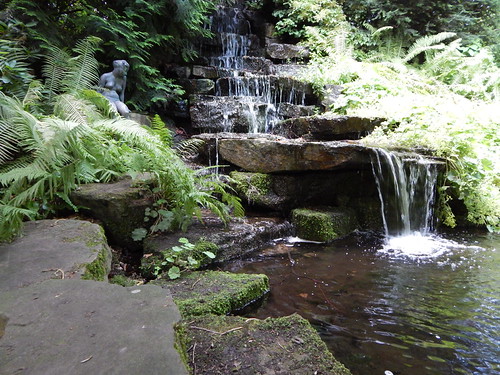 160 jahre botanischer garten der technischen universität braunschweig / botanischer garten braunschweig. BS, Botanischer Garten der TU Braunschweig | Aufnahmen