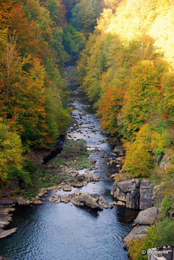 Not only can you see your avatar and others on the map, but you can also explore your virtual surroundings on street view as you go along camino de santiago. Selva de Irati - OtoÃ±o 2011 | La Selva de Irati es un extensâ¦ | Flickr