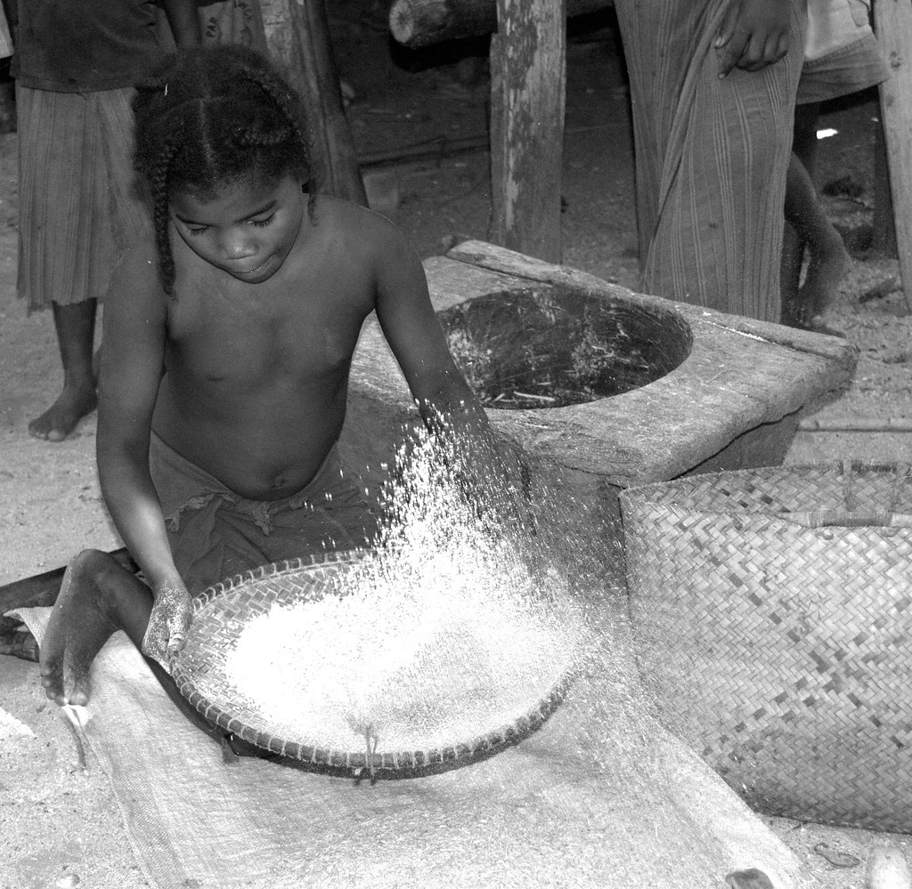 Lavoro Minorile | La Cribbiatura Del Riso | Giuliana | Flickr 999_x_1024_jpg