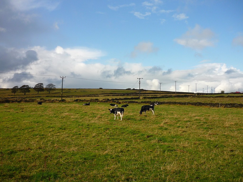 Atom Heart Mother Paul Anthony Moore Flickr