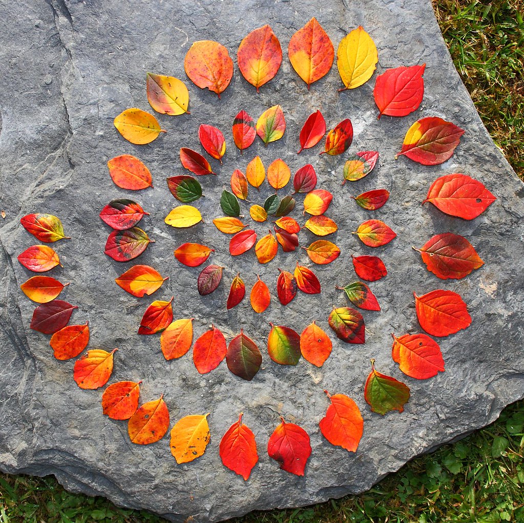 Herbstfarben Land Artgeselle Flickr