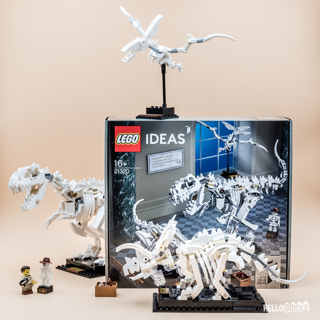 REVIEW LEGO Ideas 21320 Dinosaur Fossils - HelloBricks