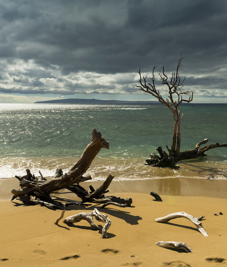 Maui Beach In Style Of Salvador Dali Alex Chitnev Flickr