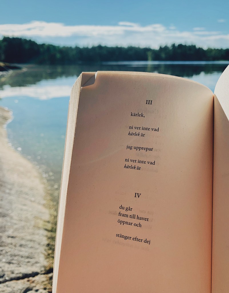 Som hjälp på vägen har vi tagit fram dödssyndsmetoden. Konsten Att Lasa Poesi Och Nagra Diktsamlingar Jag Gillar Julia Eriksson