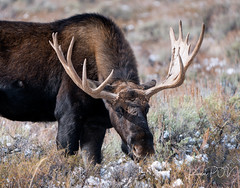 Doomwatch is a british science fiction television programme produced by the bbc, which ran on bbc1 between 1970 and 1972. The Real Julie Powell | Notebook Worthy