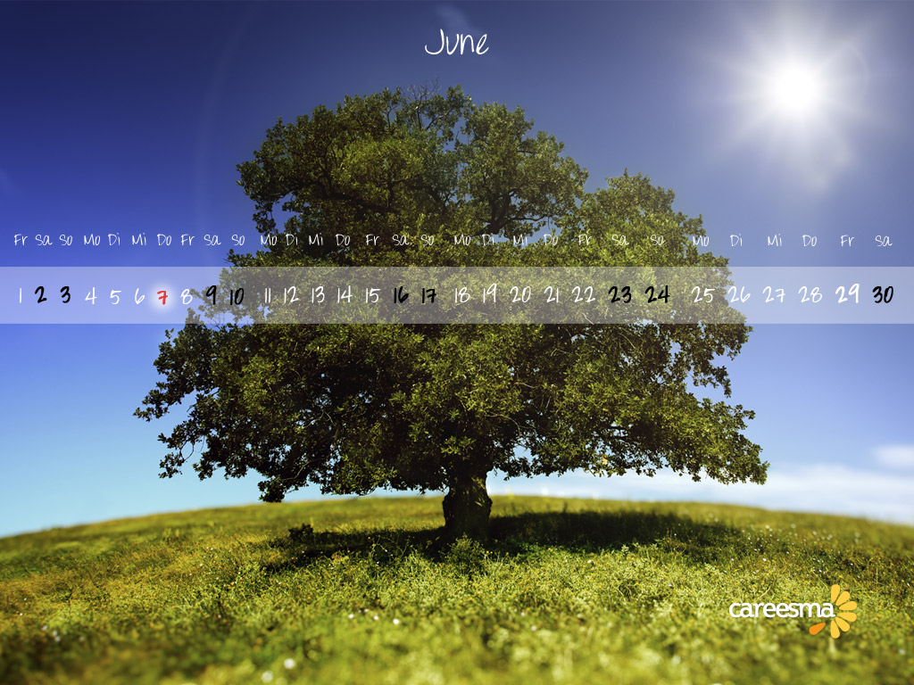 Careesma has partnered with indeed, the world's #1 job site, to help you find your next hire. careesma.at Wallpaper Juni | Careesma Ãsterreich | Flickr