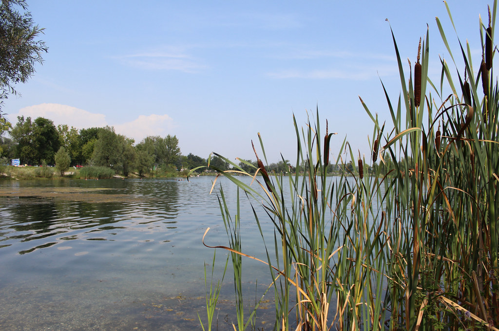 3,134 likes · 50 talking about this · 32,075 were here. Pichlinger See Linz Austria Lake Pichling Pichlinger Flickr