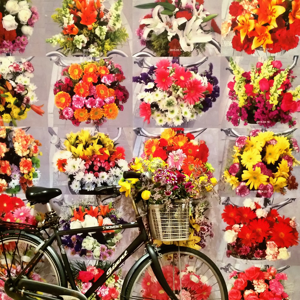 Ai Weiwei With Flowers Www Ngv Vic Gov Au Exhibition And Flickr