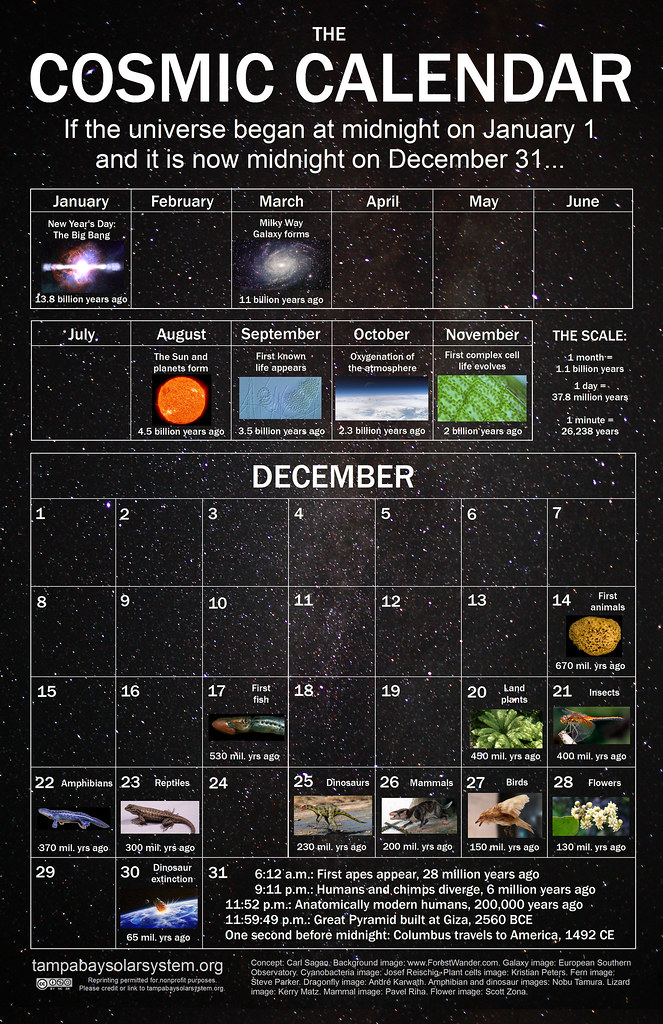 Education doesn't have to be confined to 9 a.m. Cosmic Calendar | A Cosmic Calendar poster I created for