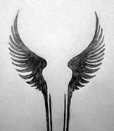 Valkyrie Wings Tattoo | That Will Be My Back Piece | Flickr 185_x_162_jpg