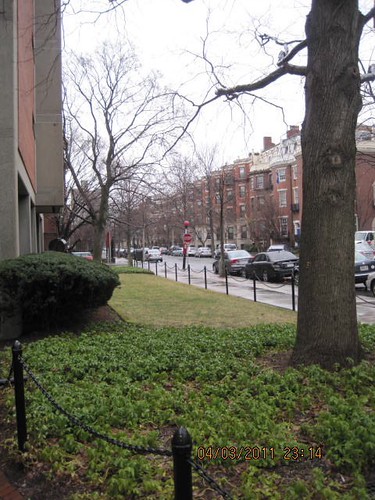 Virtual tours of national parks are providing a valuable service as people shelter at home during a time of uncertainty. Boston University College Bound Mentor