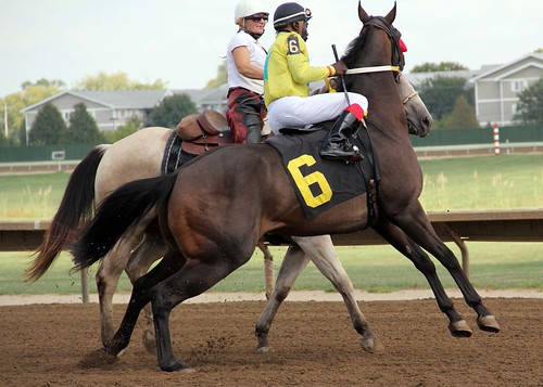 Übersetzung des liedes „the one that got away“ (katy perry (katheryn elizabeth hudson)) von englisch nach deutsch (version #2) The one who got away!! | sparkleplenty29 | Flickr