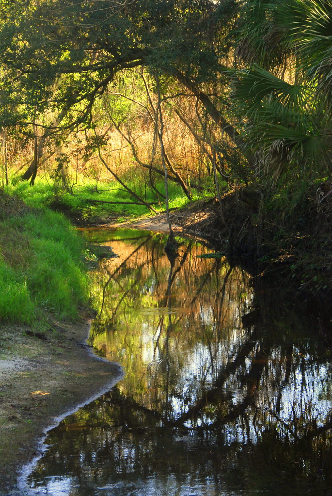 Laundrie's parents went to search wednesday Myakkahatchee Creek, Myakkahatchee Creek Environmental Parâ¦ | Flickr