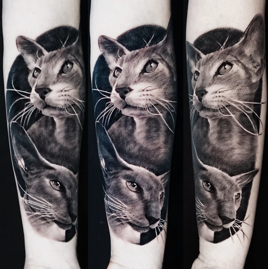 Black And Grey Realistic Cats Portrait Tattoo By Alo Loco … | Flickr 1023_x_1019_jpg