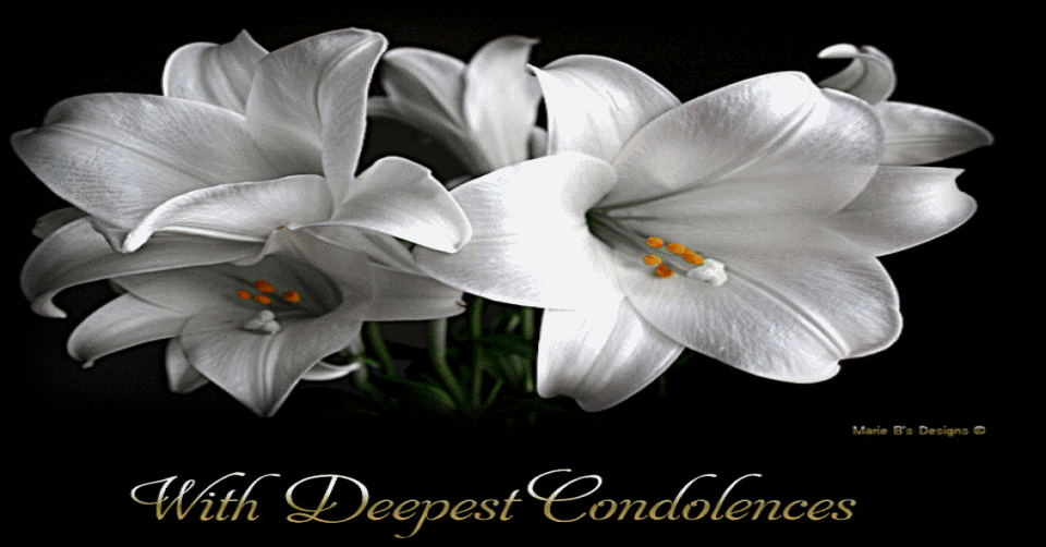 Twists gifs, teddy bear gifs, chair gifs, best gifs, jackie gifs. With Deepest Condolences
