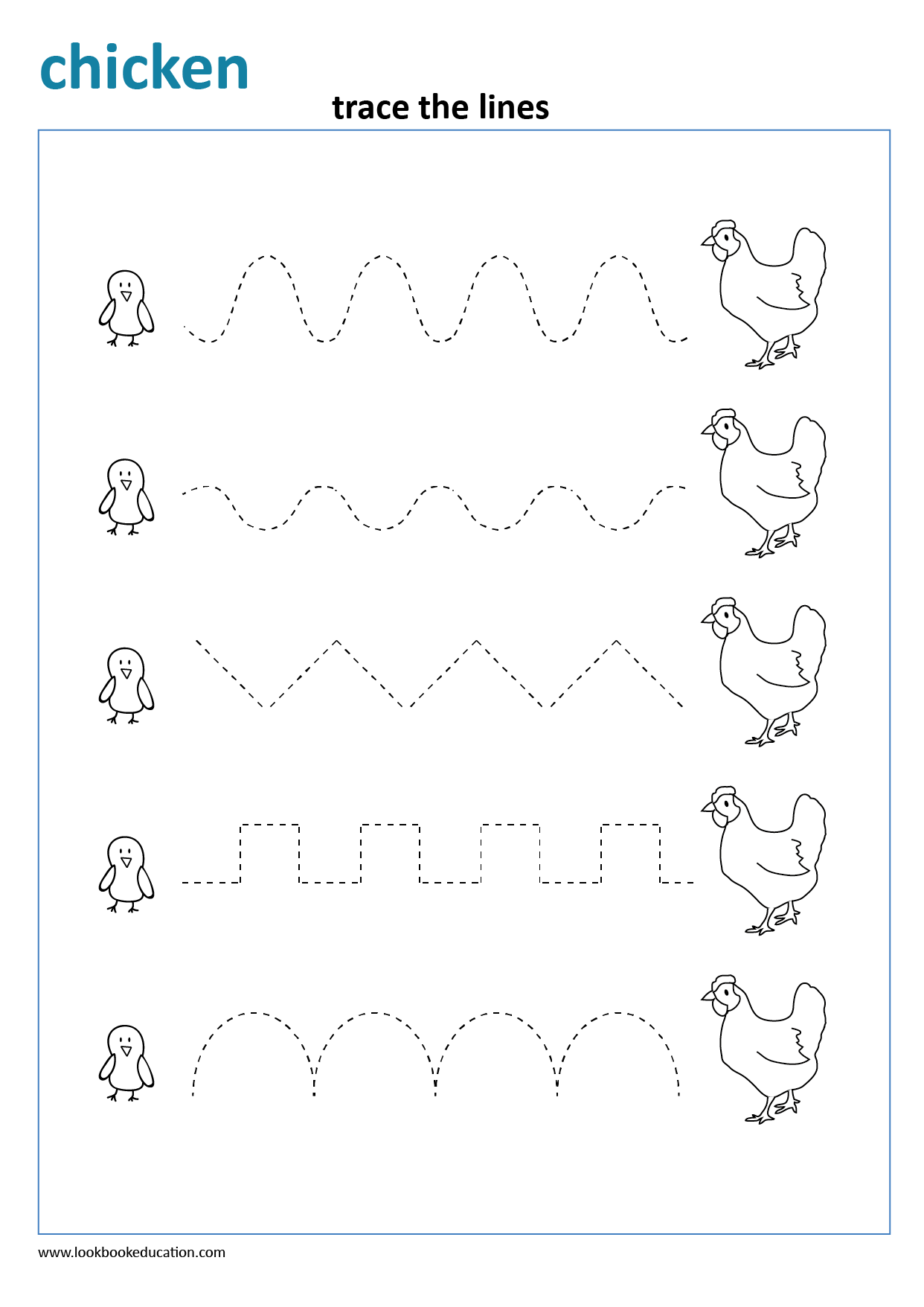 worksheet tracing chicken lookbook education