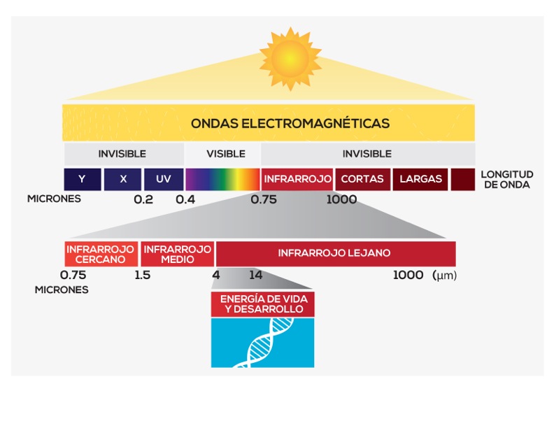 La ciencia de las terapias de calor infrarrojo lejano y la eliminación