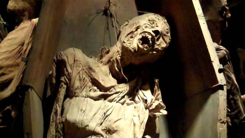 Quale E La Monster Più Rara Del Mondo