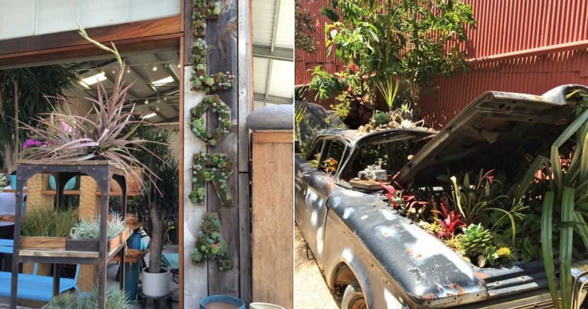 Hiking the bay area is a popular way to spend time outdoors. 6 Nurseries To Discover In San Francisco And Around Lostinsf
