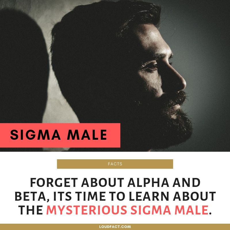 So what are the best love quotes for every person in love? Sigma Male: Facts, Characteristics And Things They Do | LoudFact