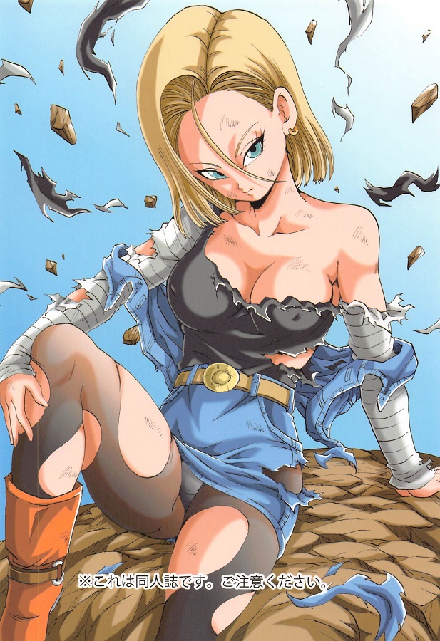 jinzouningen18gou_kamesenninnochoukousokutemandeasokokaraeroshirugaafu