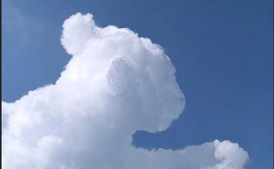 A cloud service is any service made available to users on demand via the internet from a cloud computing provider's servers. Know your cloud types and what they bring | Lowvelder
