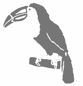 The Catalan Font Scene