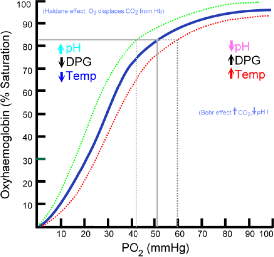 Difference Between PAO2 and SAO2