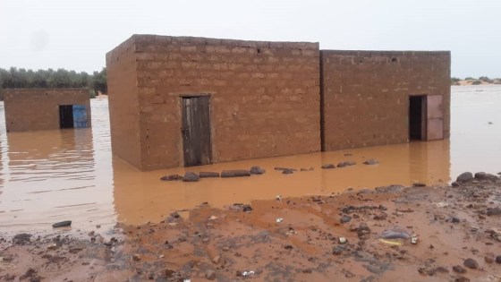 بينهم حالات وفاة.. لجنة الطوارئ تعلن عن أضرار بشرية ومادية خلفتها الأمطار الأخيرة