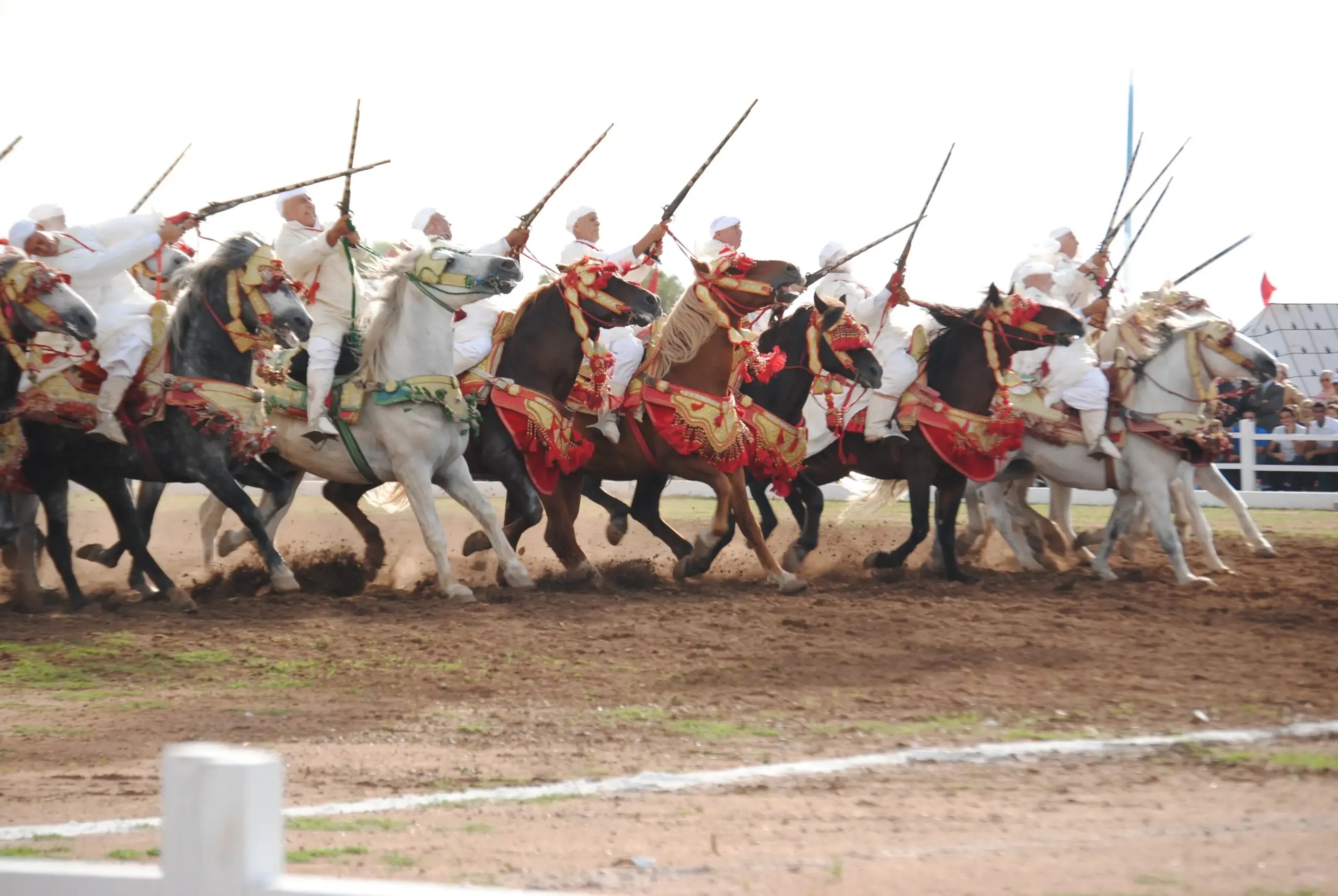 مواهب شابة تحتفي بالخيل بمعرض الفرس للجديدة مواهب شابة تحتفي بالخيل بمعرض الفرس للجديدة