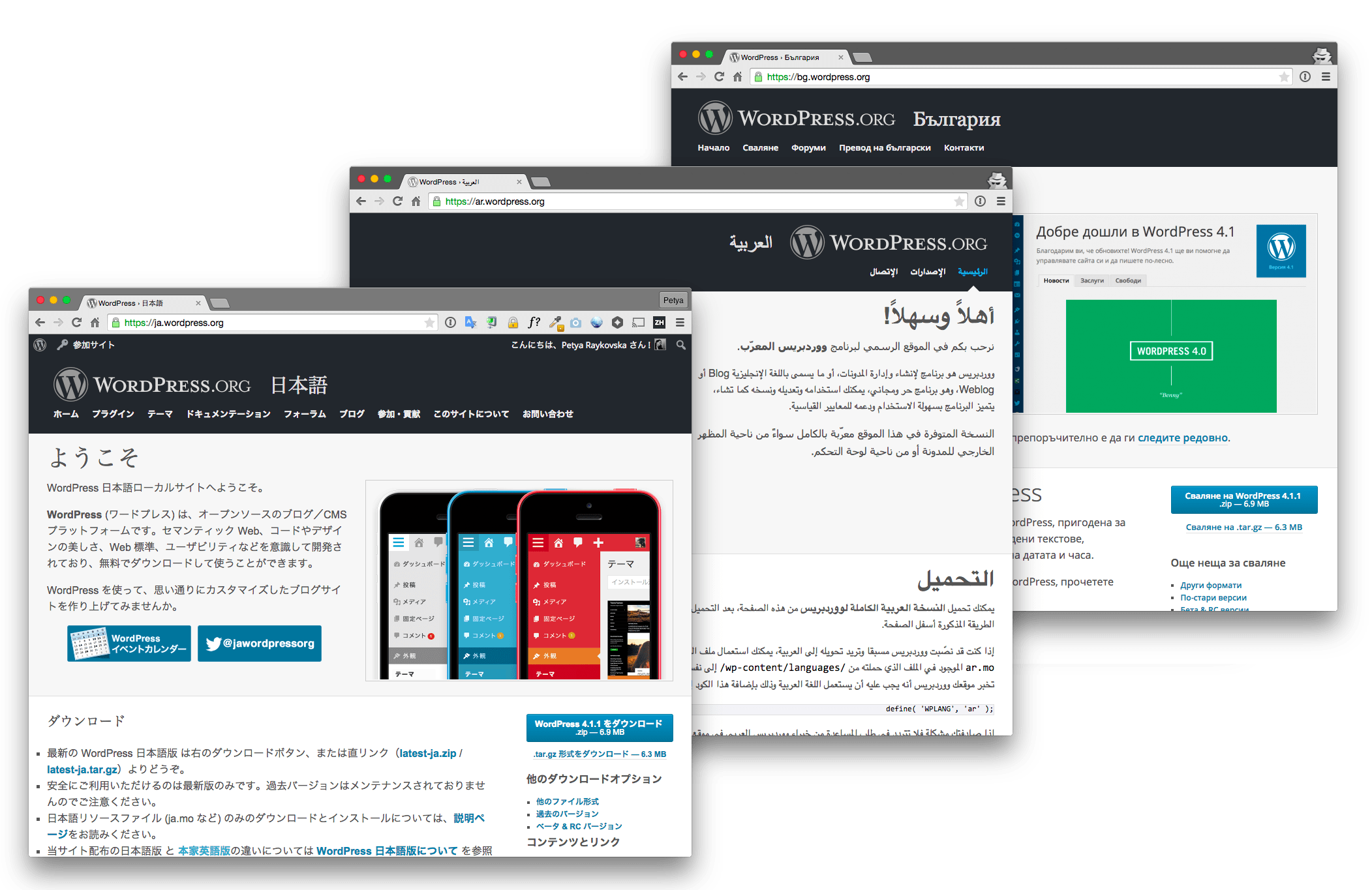 Wordpress is free, but even premium services, plugins and themes are an affordable solution to business websites. Translator S Handbook Translate Wordpress