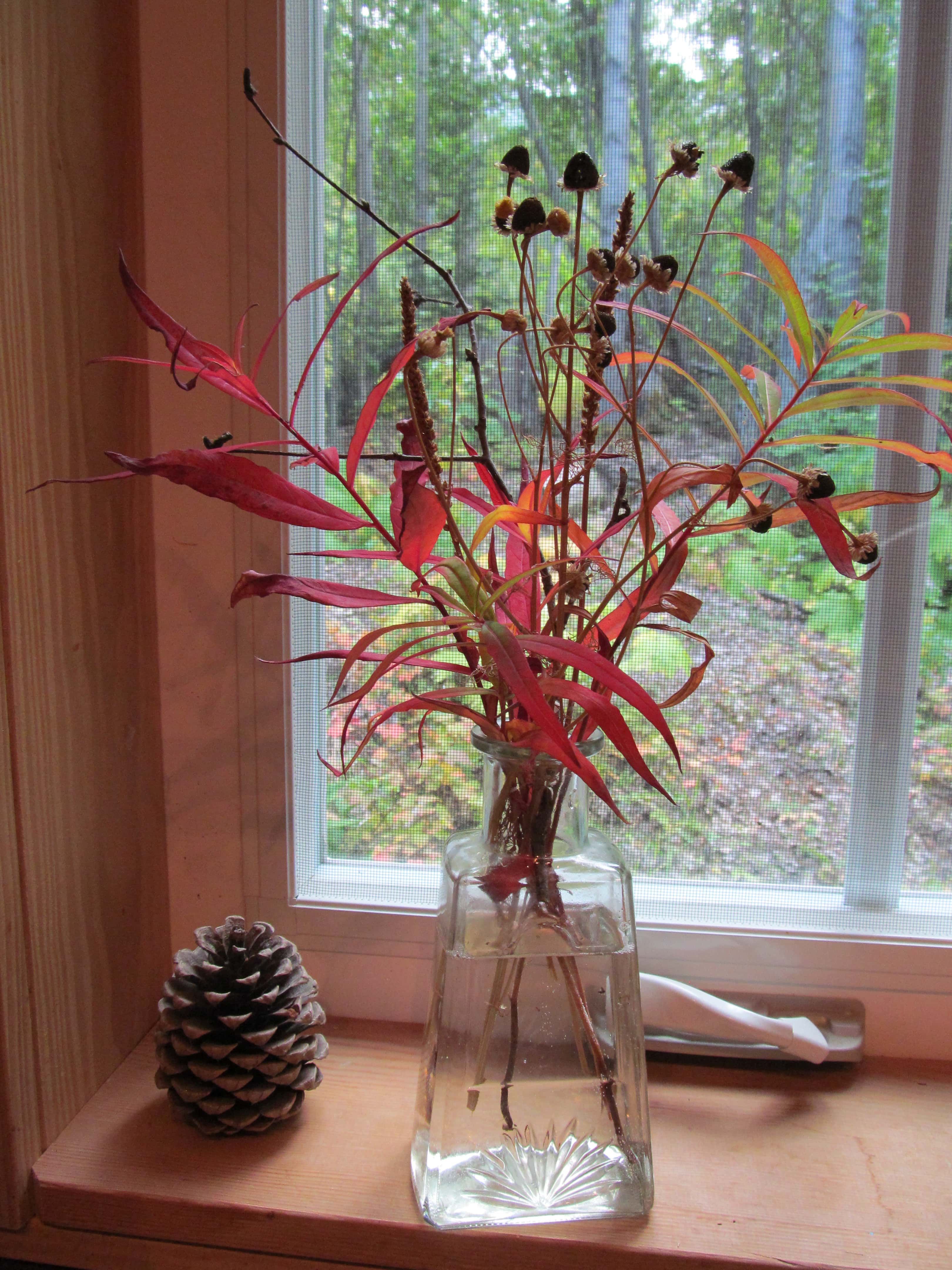 A small bouquet with fall foliage sits on a window sill 