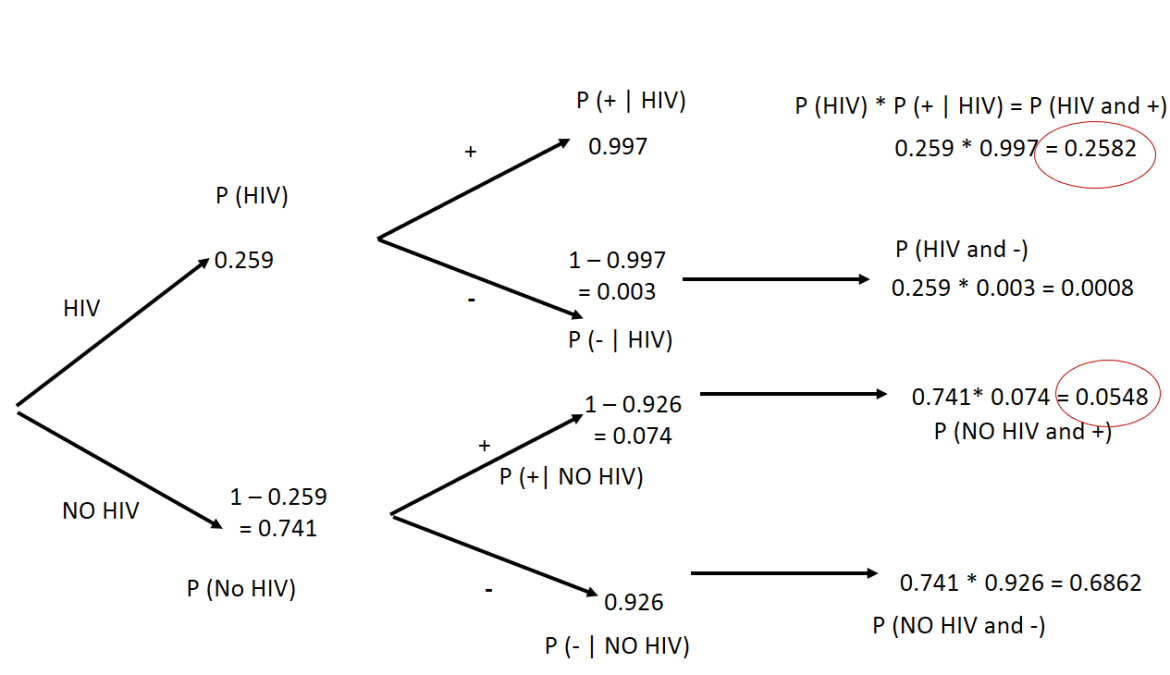 Conditional Probability Tree Diagram Example