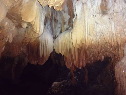 wp-1493095193877. wp-1493095193877.