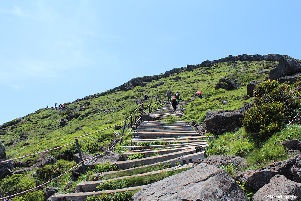 To the summit of the Hallasan mountain!