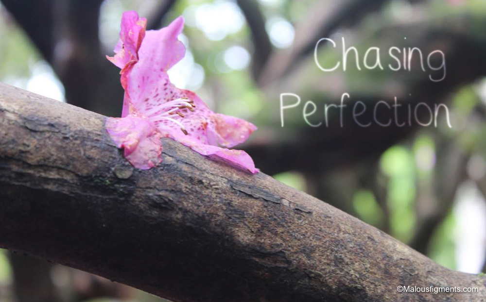 Chasing Perfection