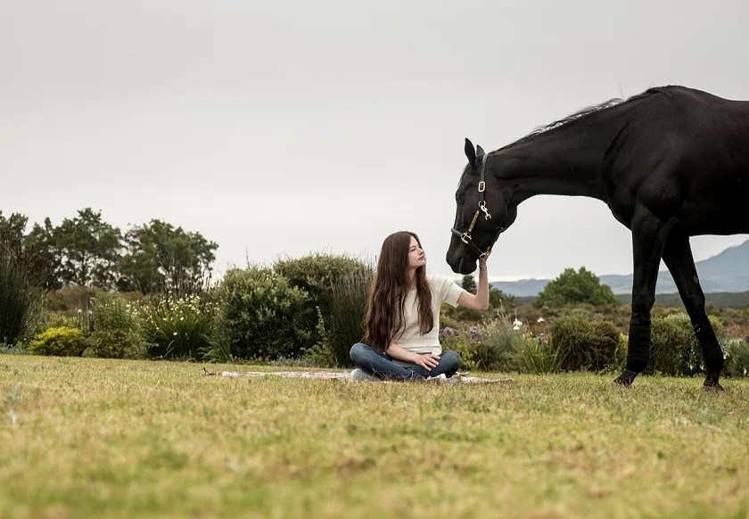 See more ideas about horse quotes, equestrian quotes, inspirational horse. The Best Quotes From Black Beauty On Disney