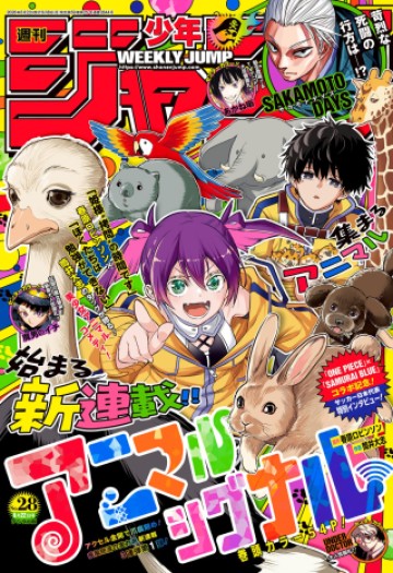 アニマルシグナル