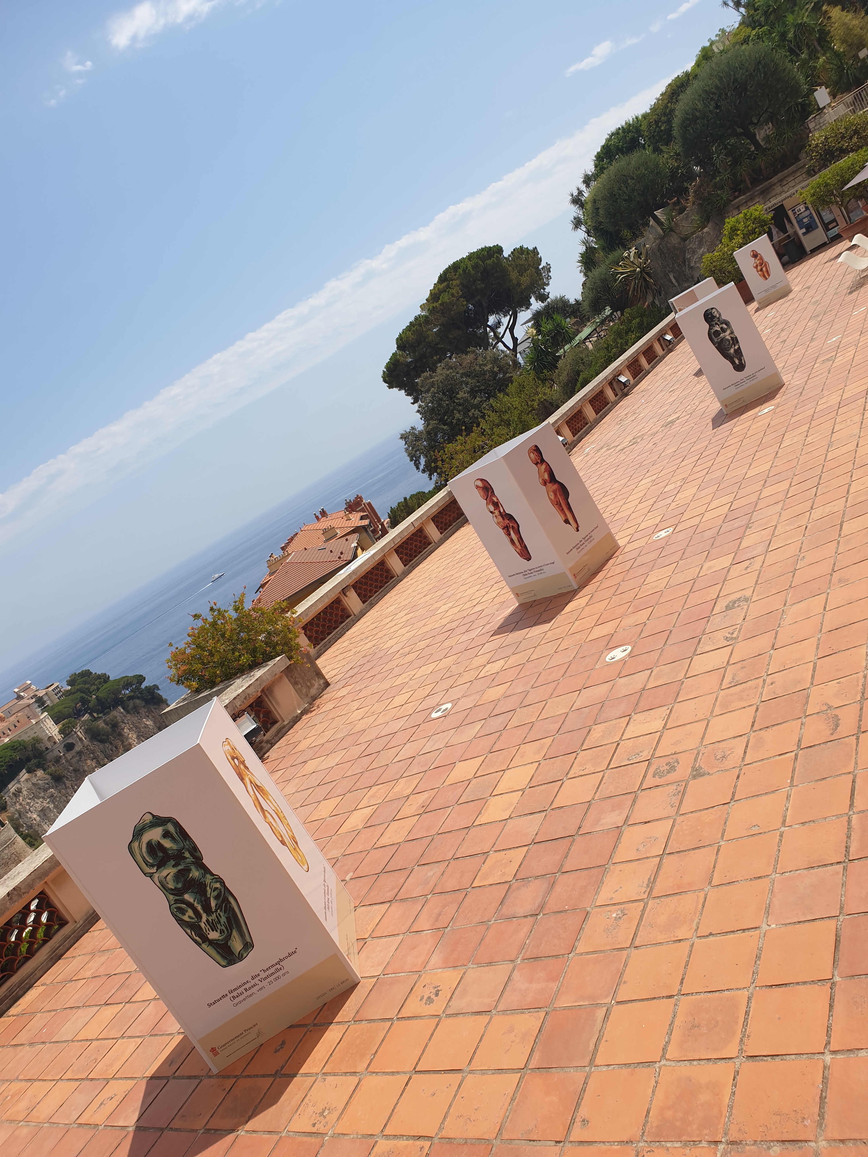 Expositions Temporaires Musee D Anthropologie Prehistorique De Monaco