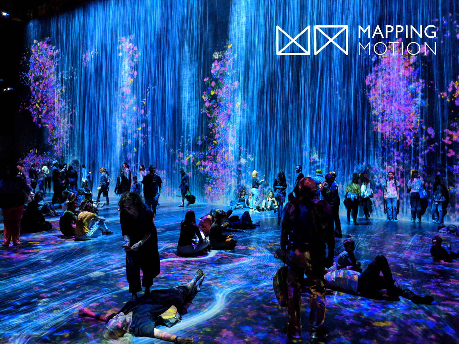 Exposition teamLab : Au-delà des limites - Mapping Motion
